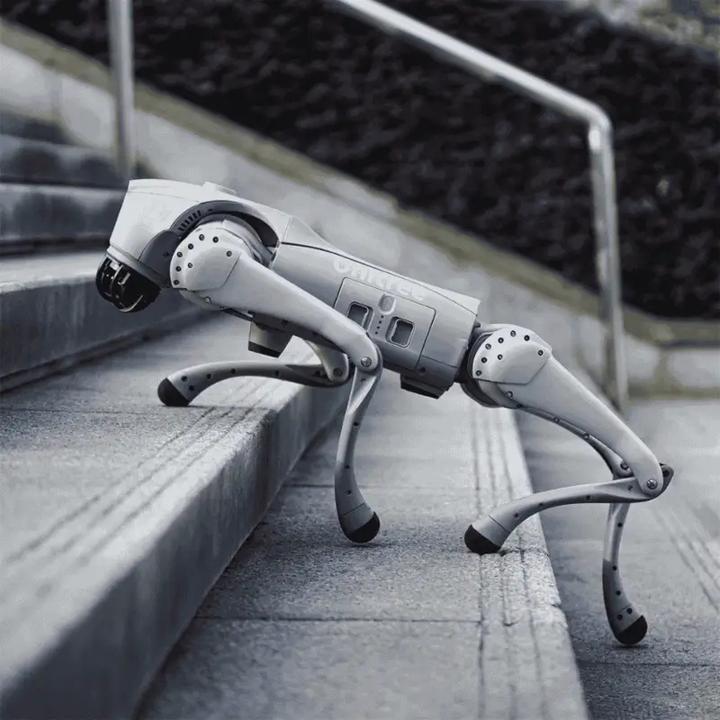 Four-legged patrol robot climbing concrete stairs
